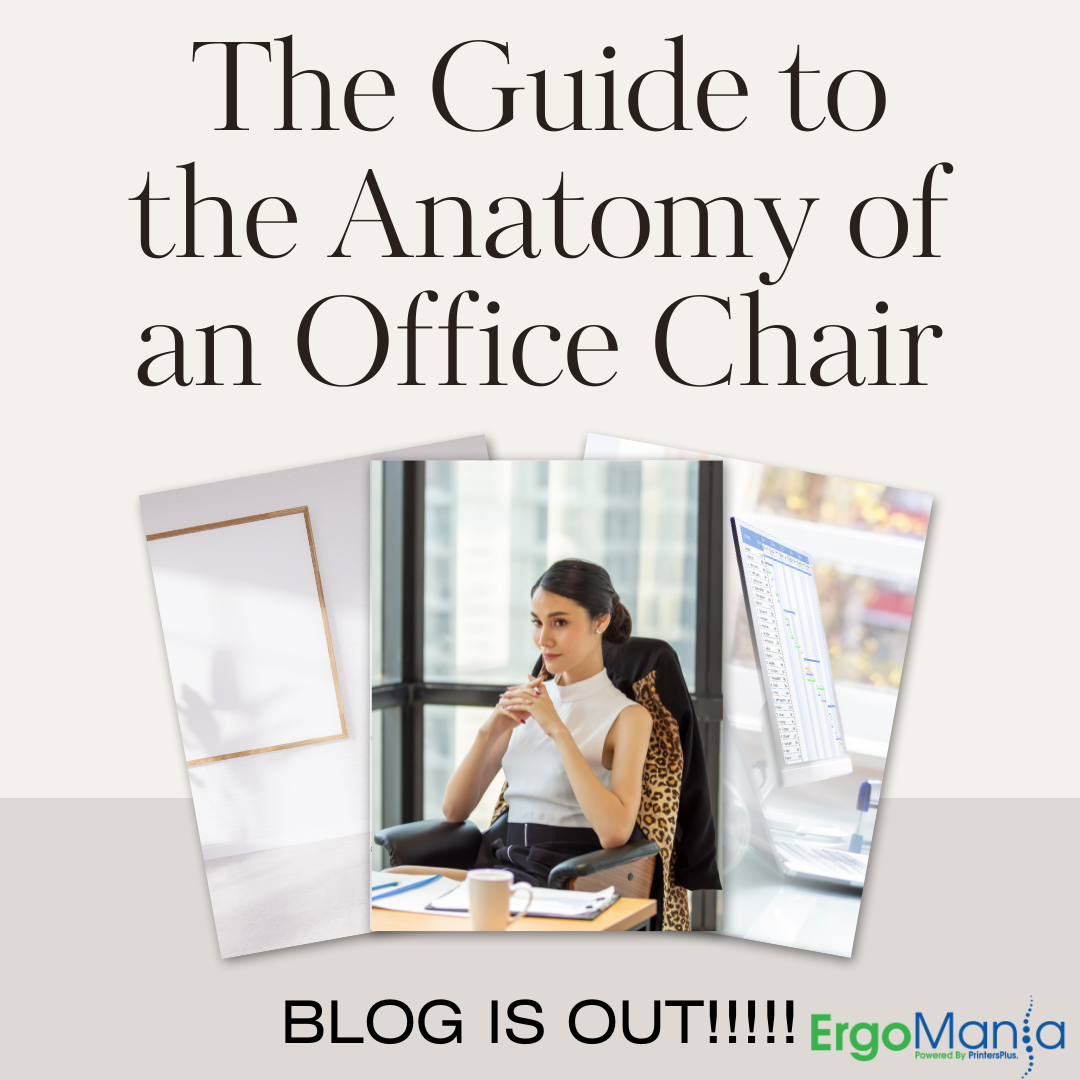 The Guide to the Anatomy of an Office Chair
